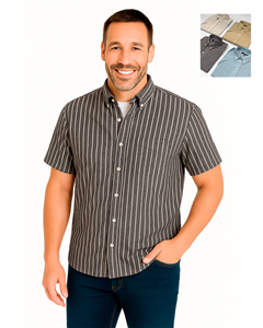 2667 - Camisa Lino Rayada