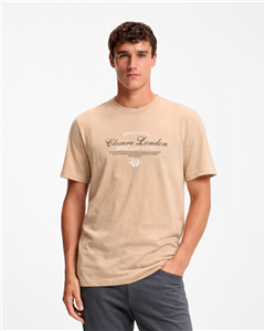 4594 - Remera Aero Estampada